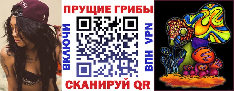 KRAKEN ТОР  Серафимович  Псилоцибиновые грибы GOLDEN TEACHER 